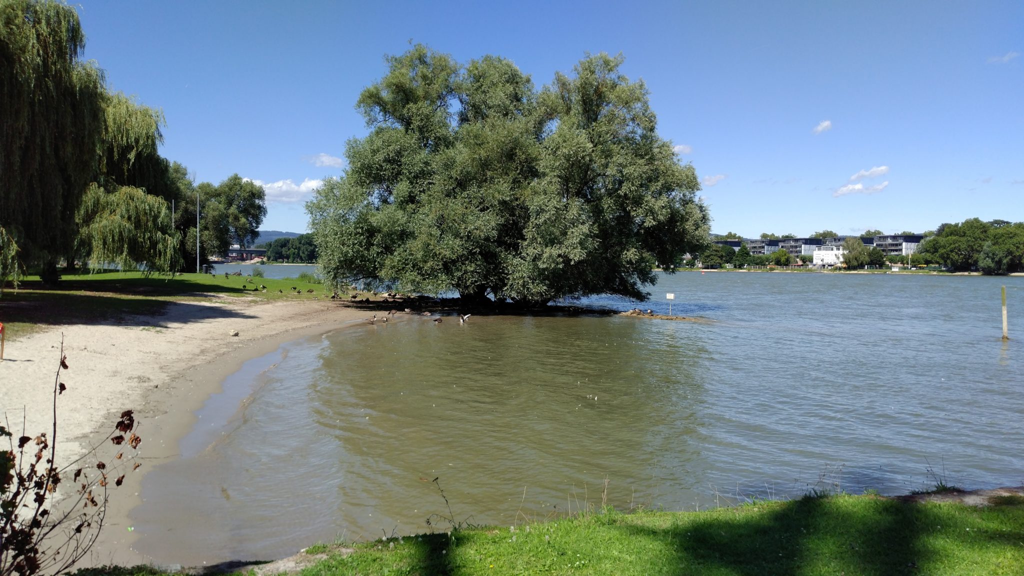 Campingfreunde Rettbergsau e.V. Freizeit inmitten des Rheines